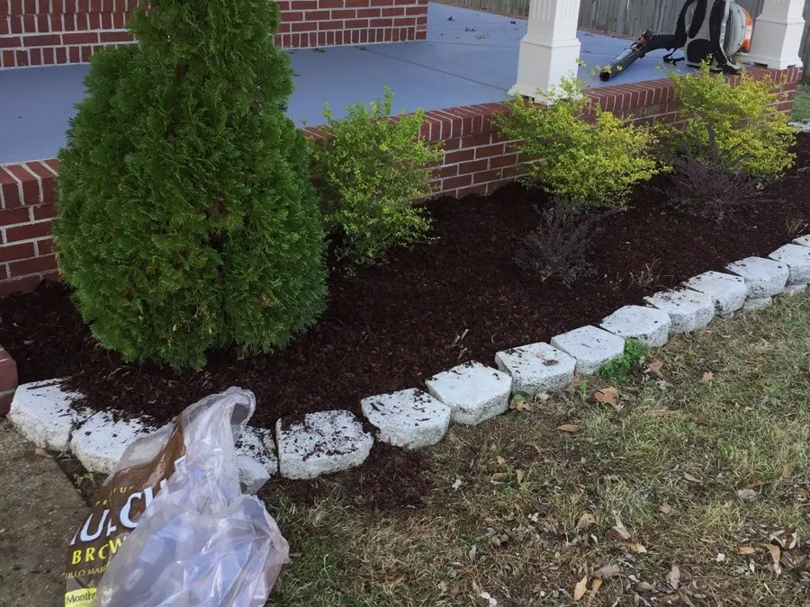 Mulched bed with an evergreen shrub and white stone edging