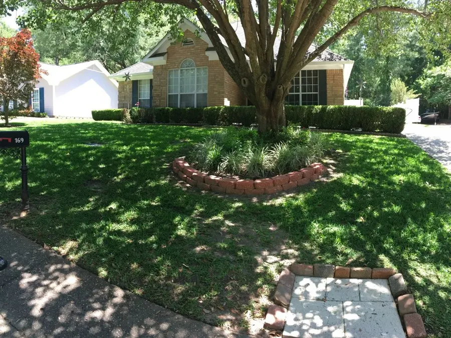 Mowed front lawn with a brick-ringed tree bed